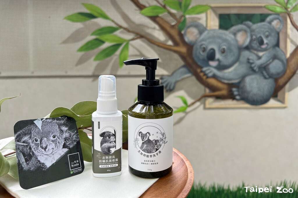 在与木酢达人合作下，我们将无尾熊食余桉树叶加以萃取，得到无尾熊馆特有的桉树精油！再将这些精油加工制成现在的防螨抗菌喷雾与洗手乳产品喔！(图片来源：台北市立动物园)