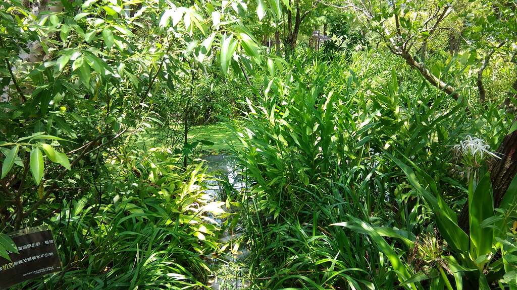 图2.丰富的植物相提供动物良好栖地