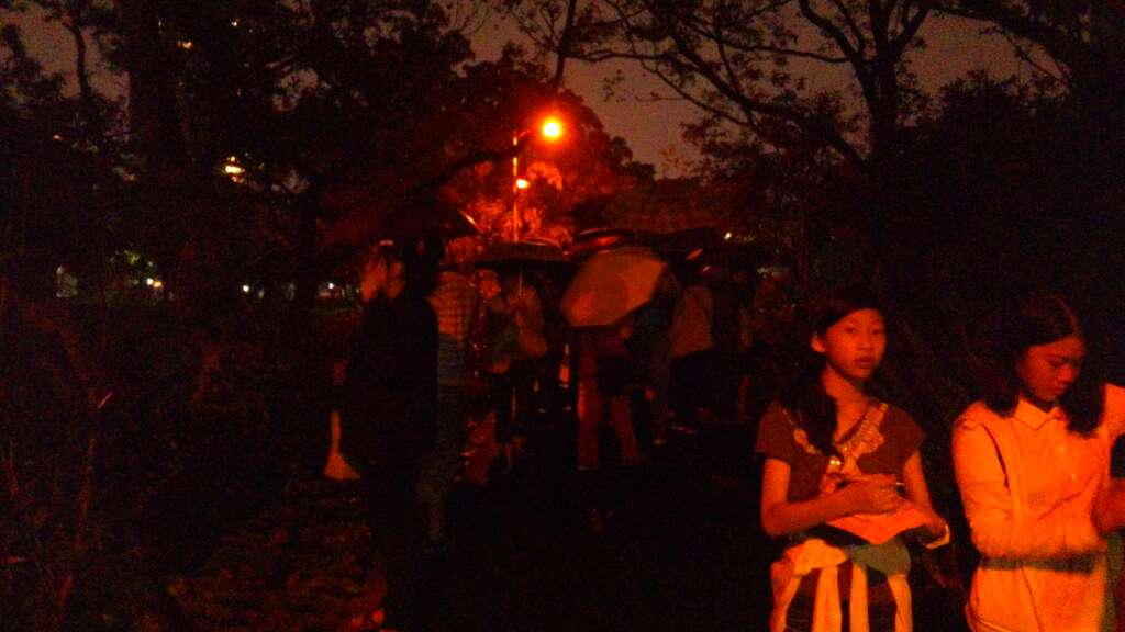 图6.民众踊跃参与夜间赏萤活动