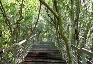 BTDO to Organize Zhongyi Mountain Hiking Trip in September