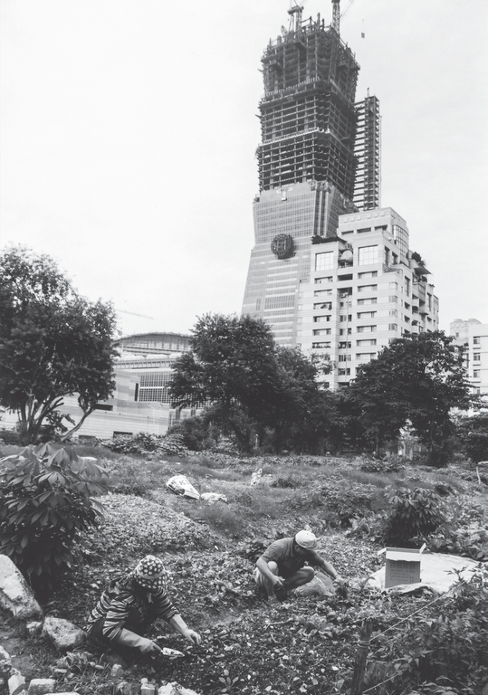 2001年信義計畫區及建造中的台北101大樓。（攝影／杭大鵬）