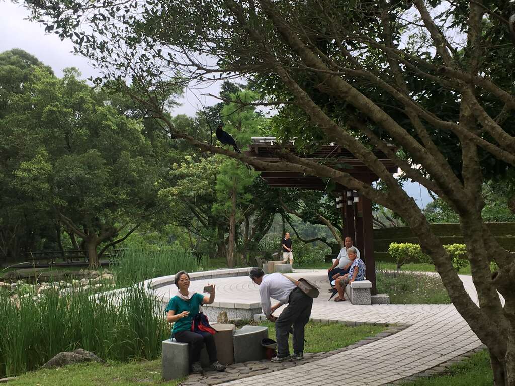 情人湖-情人椅