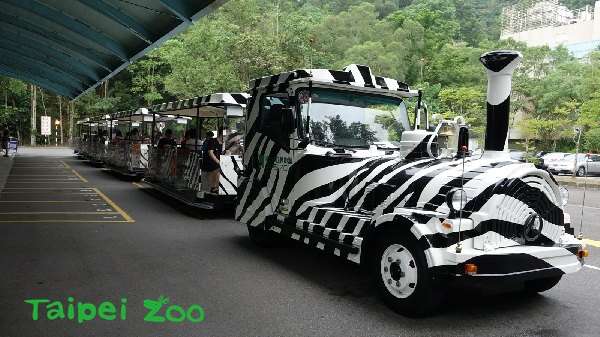 斑馬列車