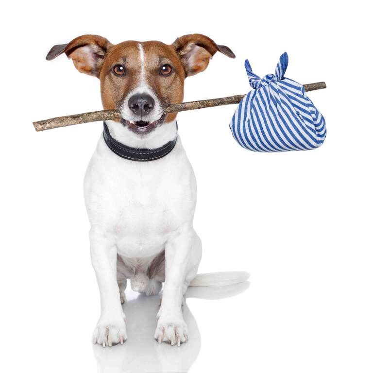 shutterstock_97760396.jpg