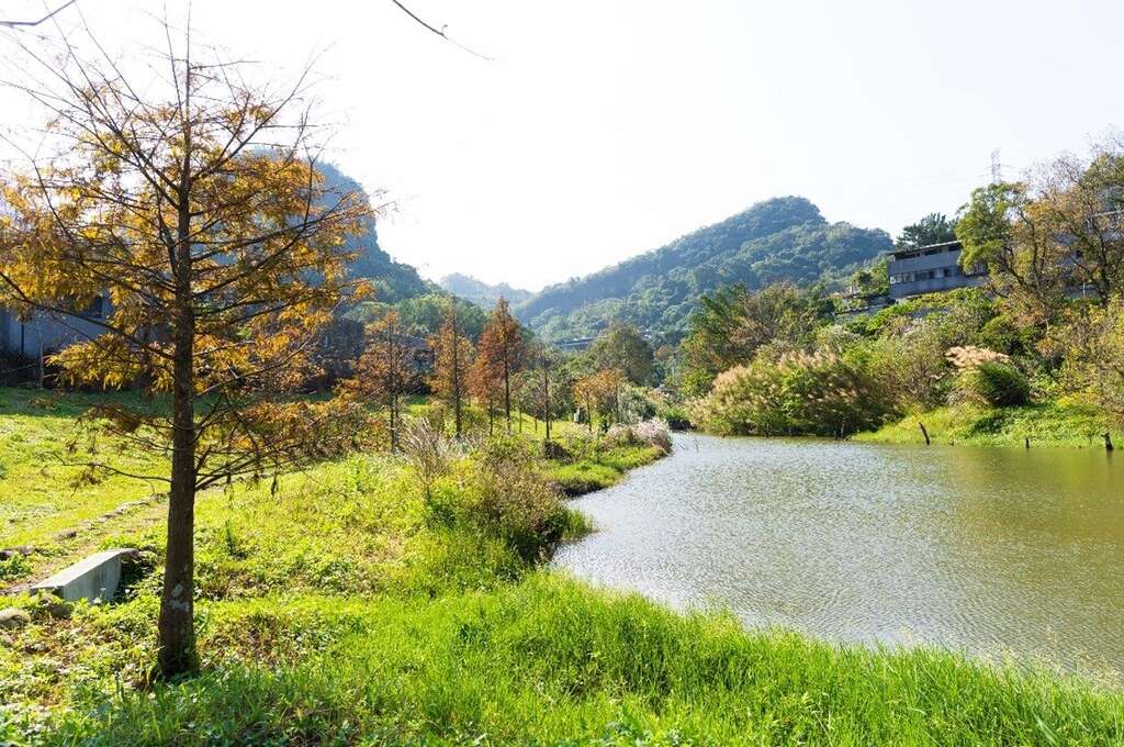 永春陂湿地公园-生态丰富的湿地公园(图片来源：台北市政府工务局公园路灯工程管理处)