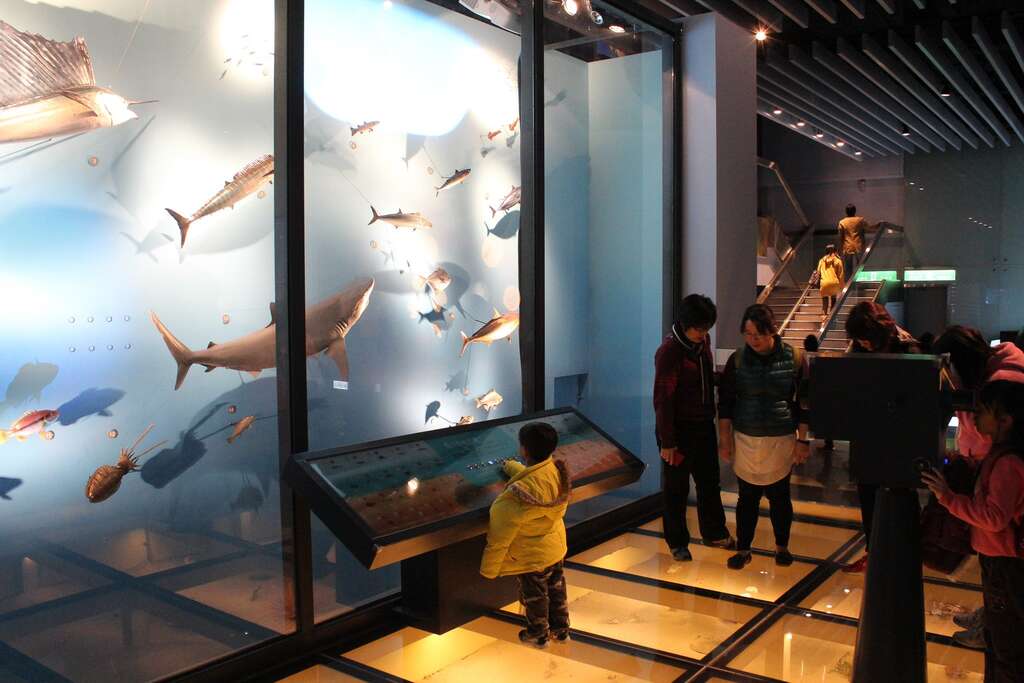 国立海洋科技博物馆主题馆以海洋为中心推广展示教育(图片来源：台北市立动物园)