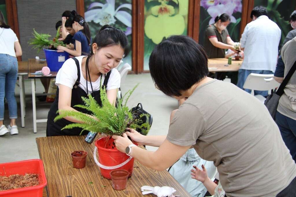 大家都挑了喜歡的盆栽開始製作！(圖片來源：臺北市政府工務局公園路燈工程管理處)