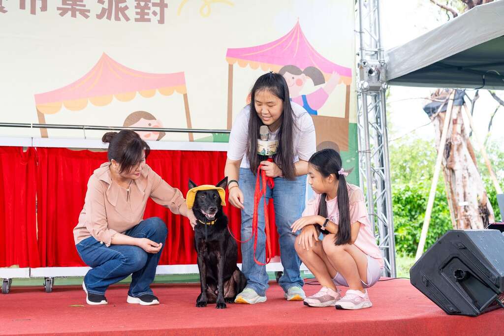 训犬师带领副局长与小朋友为待认养犬只装扮及学习正确配戴胸背带及牵绳并一同走秀(图片来源：台北市动物保护处)