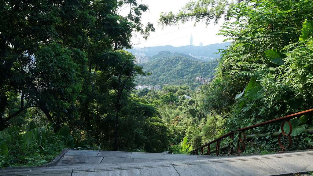 白天的竹柏参道登高望远，风景秀丽，远眺台北101。(图片来源：台北市政府工务局大地工程处)