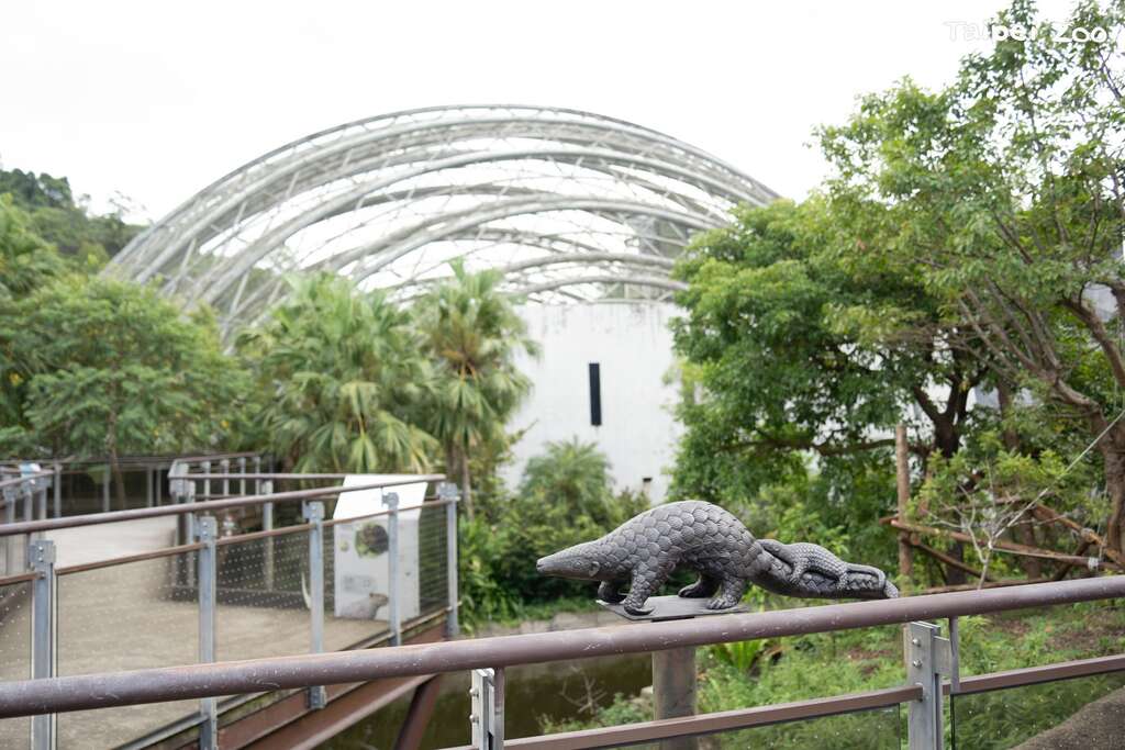 熱帶雨林館周遭原先就有好幾隻穿山甲雕塑，發揮好眼力找找牠們在哪裡！(圖片來源：臺北市立動物園)