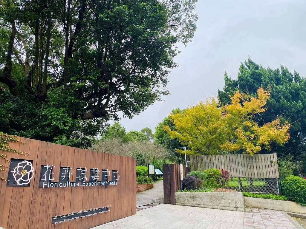 園區入口黃楓(圖片來源：臺北市政府工務局公園路燈工程管理處)