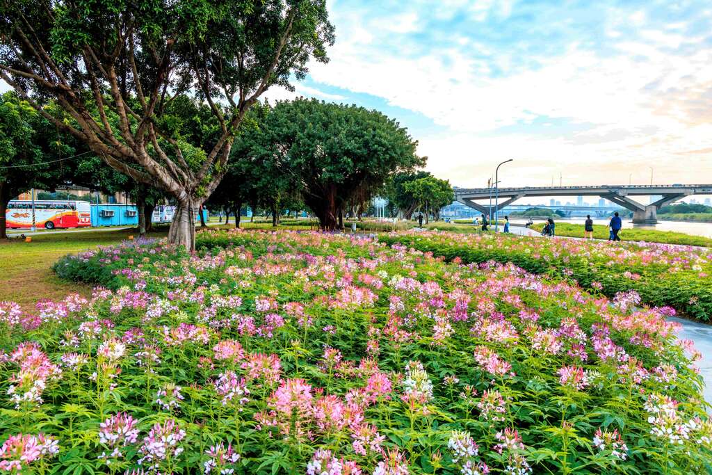在蜿蜒的树丛 下营造浪漫氛围的花海(图片来源：台北市政府工务局水利工程处)