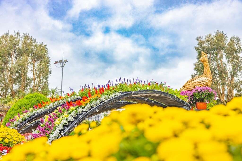 優雅的孔雀以各色的菊花呈現華麗的羽毛完美詮釋了「菊光遍羽」(圖片來源：臺北市政府工務局公園路燈工程管理處)