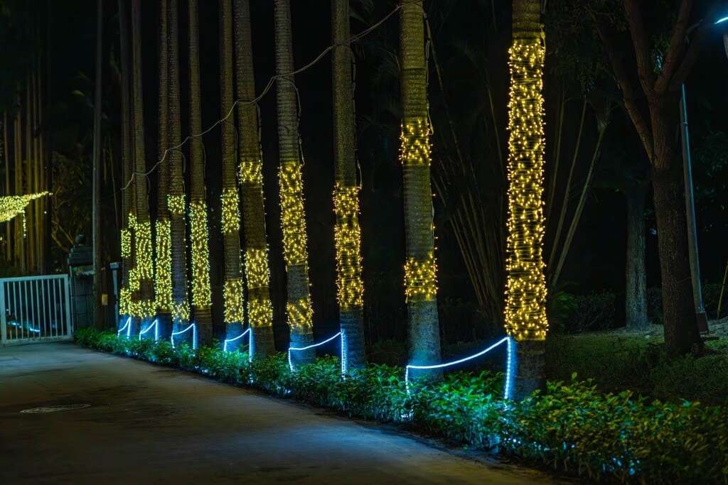 通往捷運站的捷徑460巷，夜間椰林大道中也加入今年2024的數字燈飾妝點，讓來訪的遊客看見小巧思(圖片來源：臺北市政府觀光傳播局)