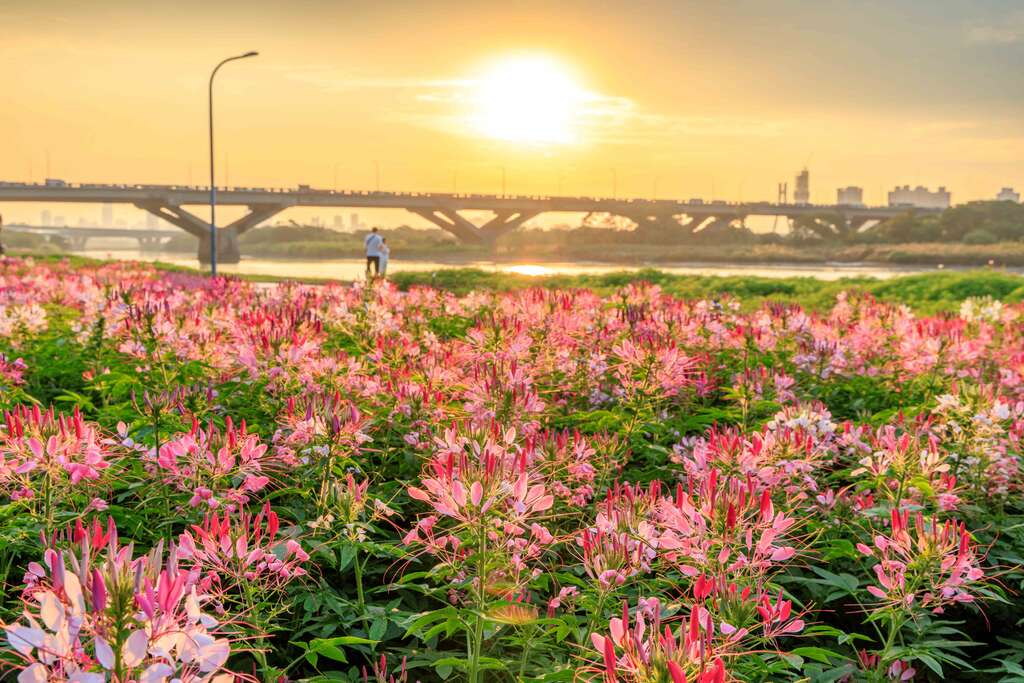 The flower display runs from now through Christmas