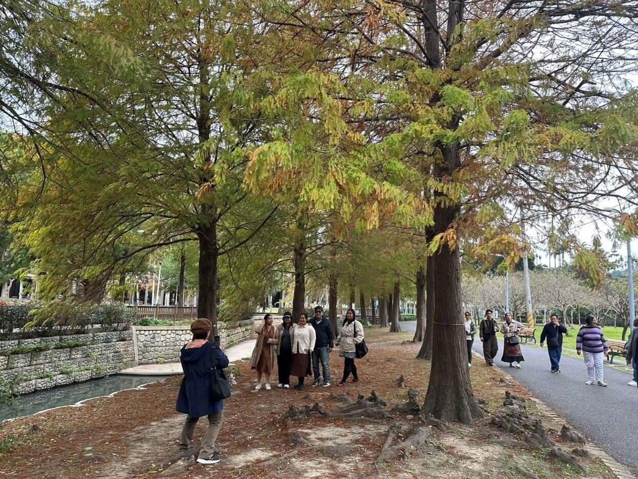 在剛轉色落羽松樹下，欣賞著呼吸根，悠閒自在的欣賞美景(圖片來源：臺北市政府工務局公園路燈工程管理處)
