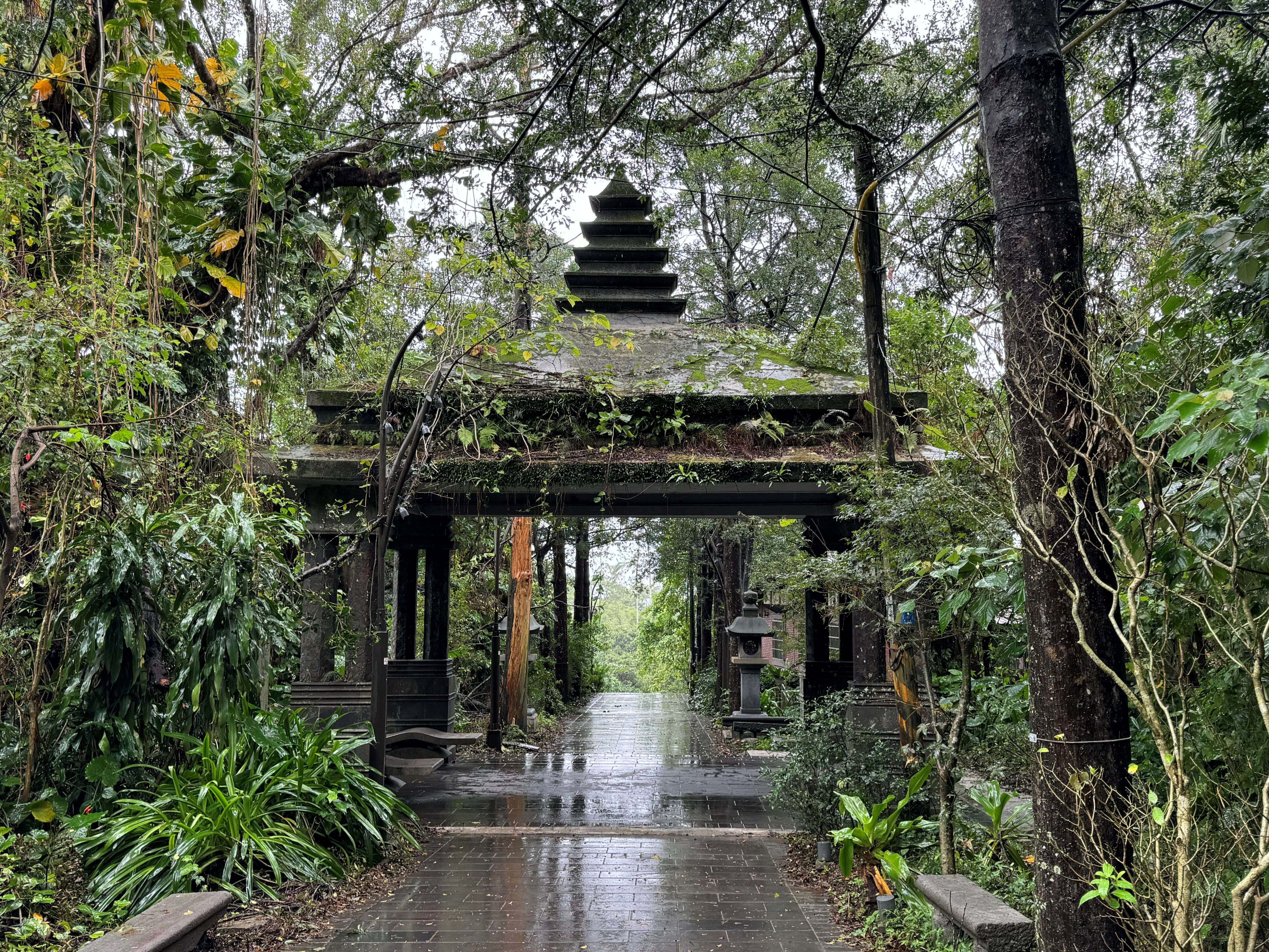 竹柏參道(圖片來源：臺北市政府工務局大地工程處)