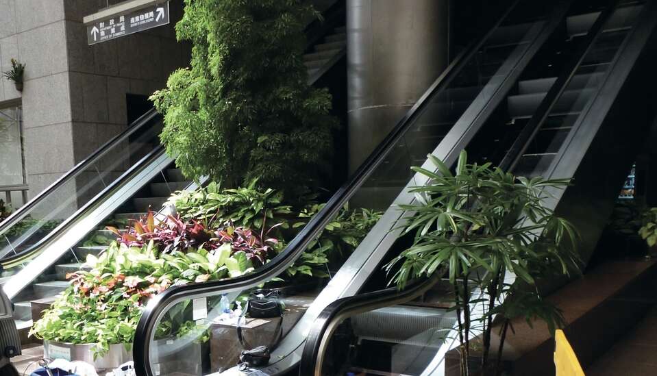 市政大樓大廳兩旁的手扶梯也設定怠速，感應到有人通過才會加速運作