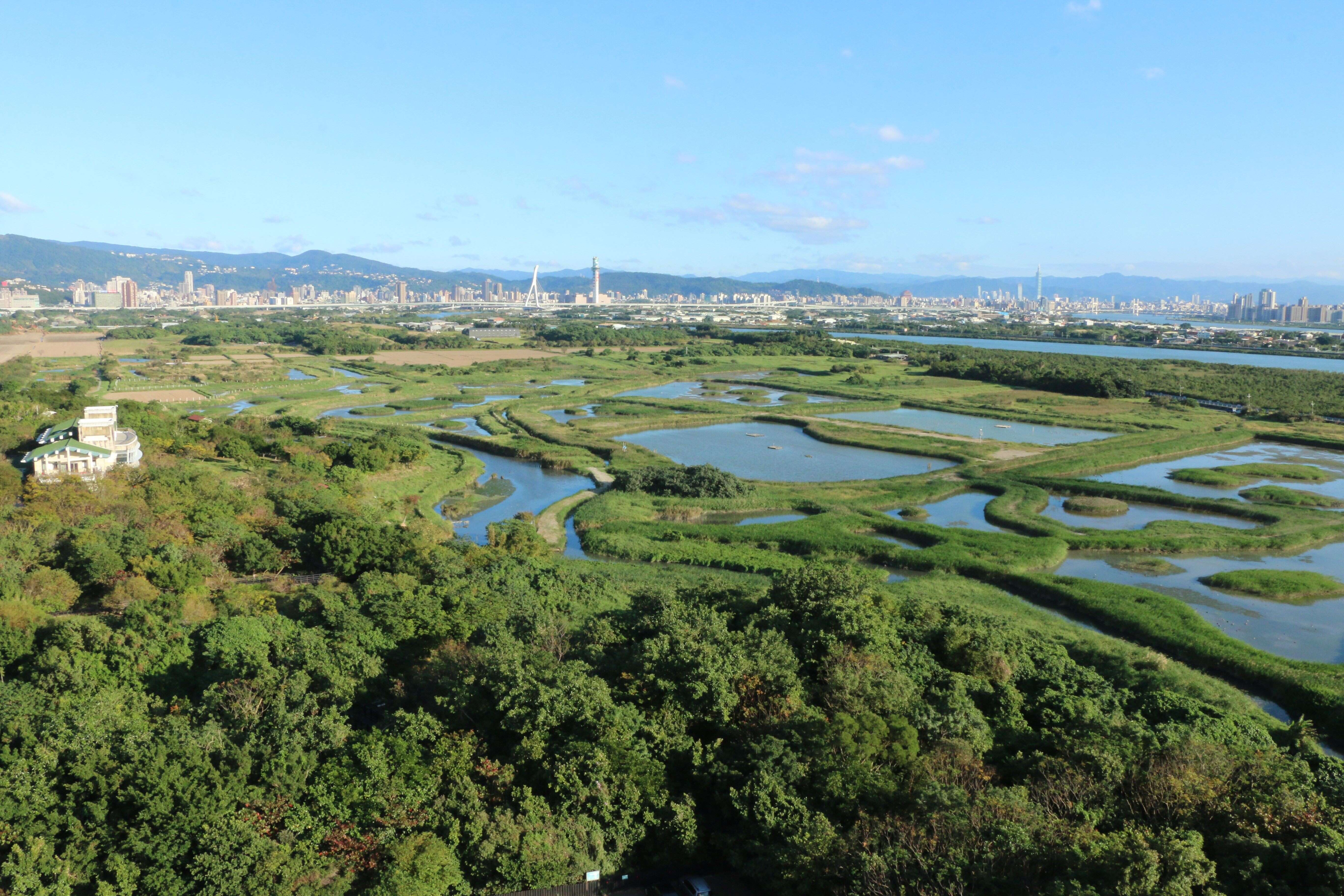 关渡自然公园是星级湿地教育活动中心(图片来源：台北市动物保护处)