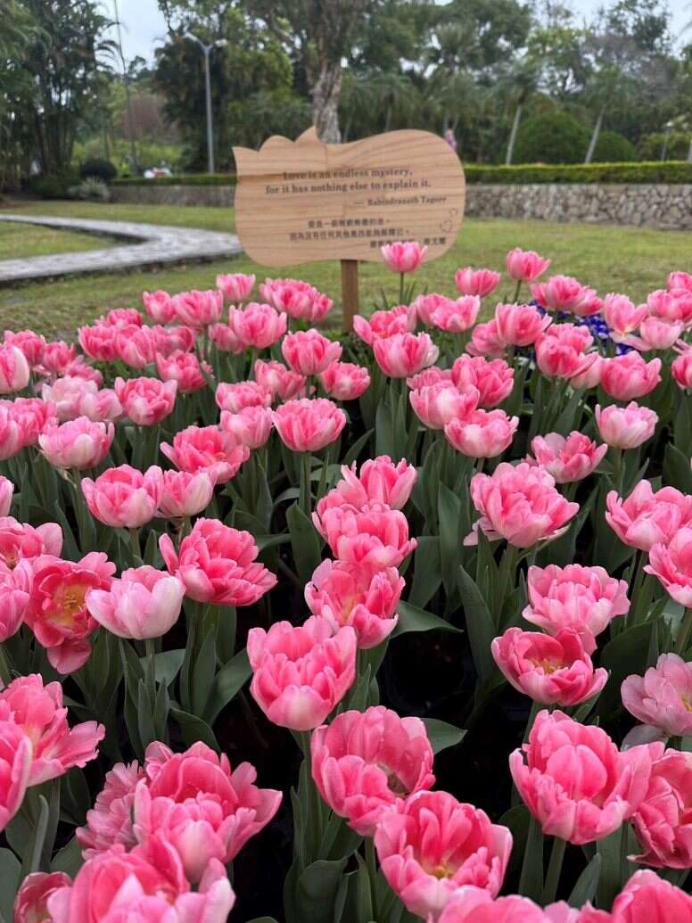 「诗情花意」展区除了有异国风情的郁金香花园，还有蕴含深刻智慧与哲理的名言佳句可以阅读，分享给你的朋友(图片来源：台北市政府工务局公园路灯工程管理处)