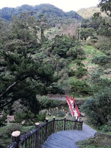 茶香環狀步道環境清幽、綠意盎然，沿途可享受大自然負離子的洗禮。