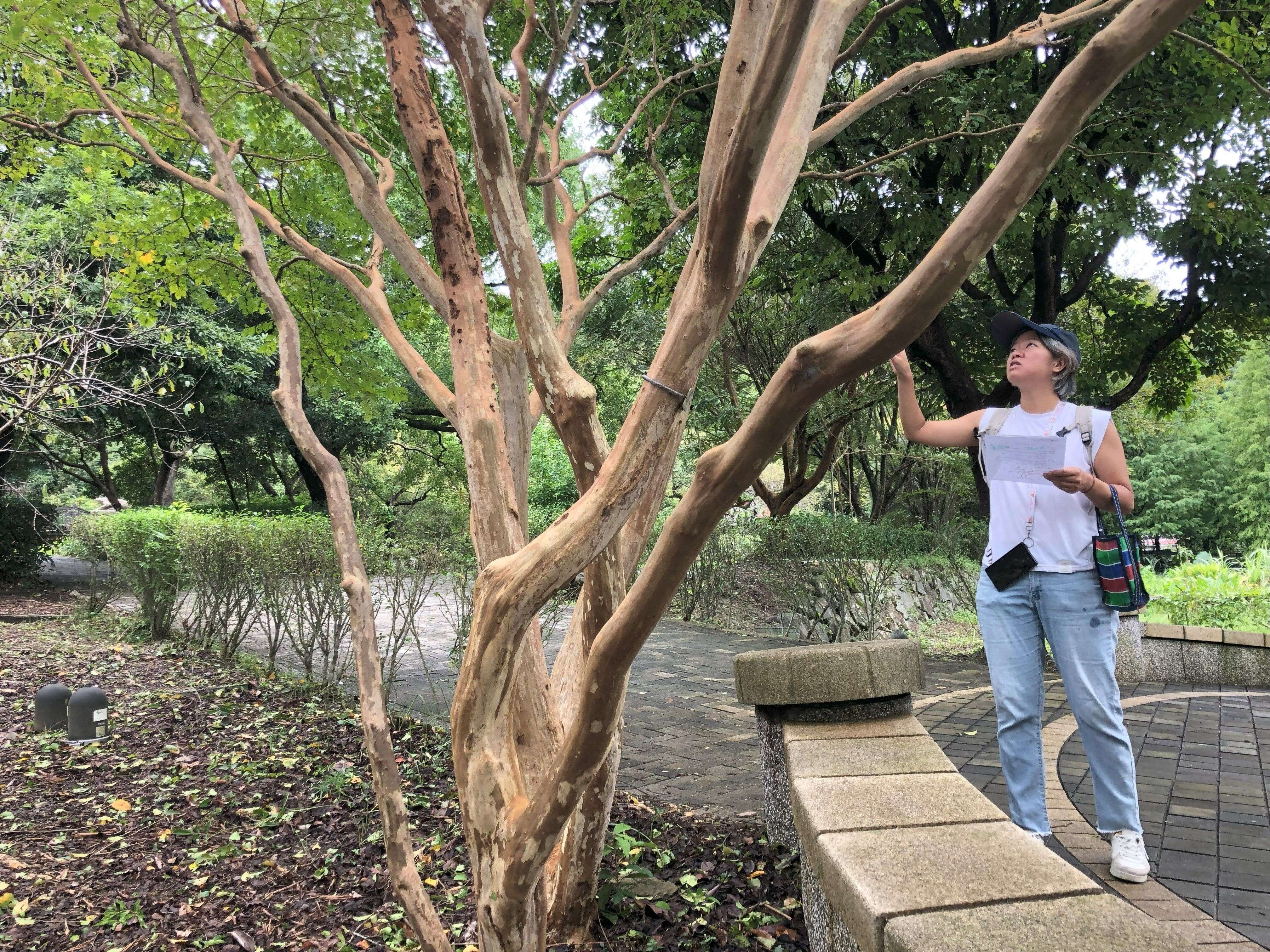 环教闯关学习森林知识(图片来源：台北市政府工务局大地工程处)