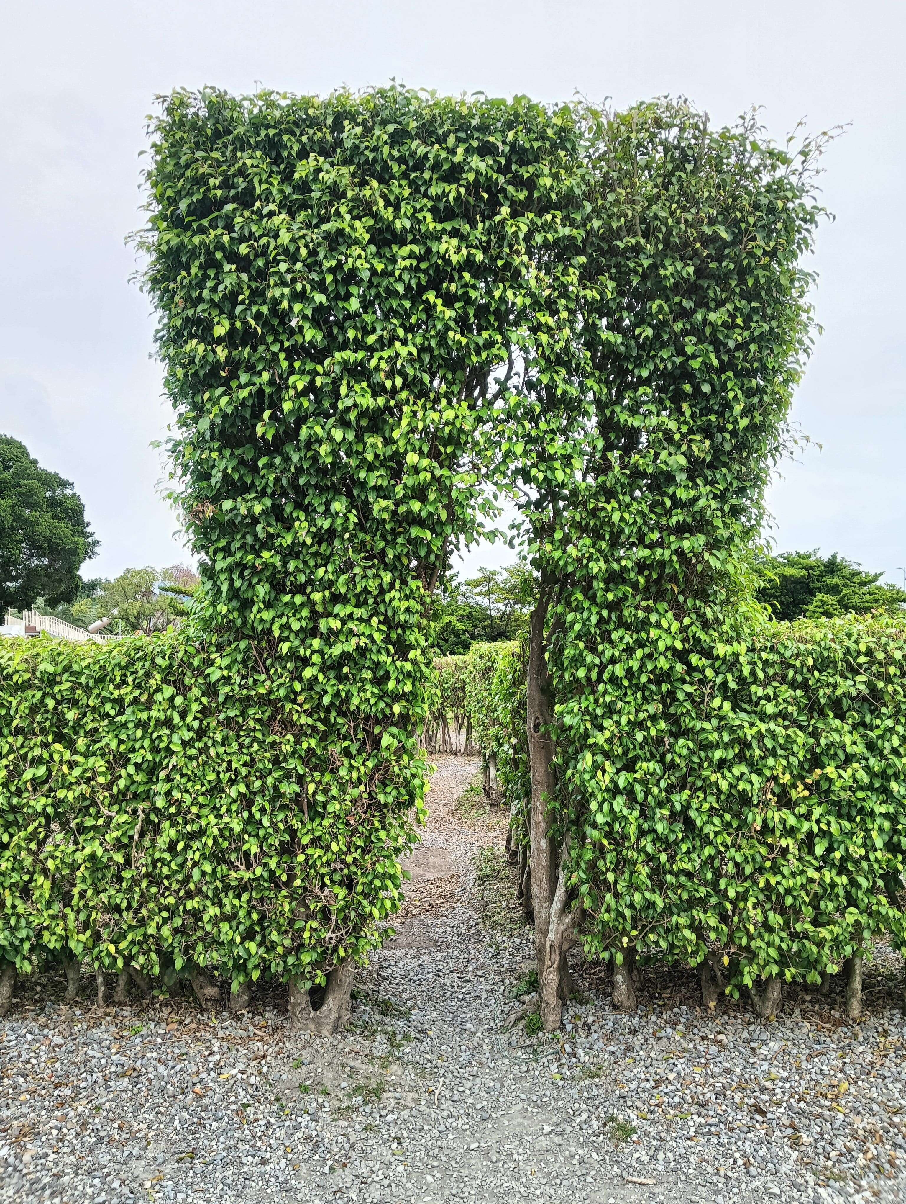 (圖片來源：臺北市政府工務局公園路燈工程管理處)