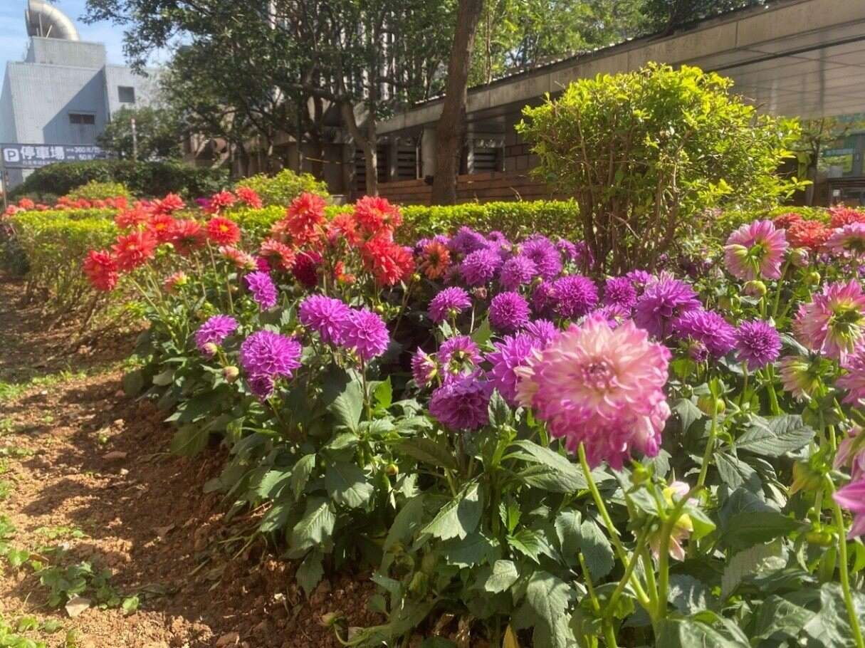 混色搭配让各区块视觉效果更显着(图片来源：台北市政府工务局公园路灯工程管理处)