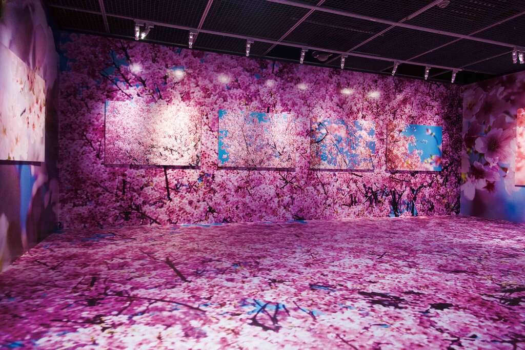 蜷川在311大地震後拍下了2,500张樱花照片，汇集成「樱系列」，把樱花的美悉数捕捉、放大。（颜涵正摄）