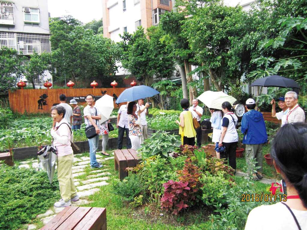 內湖區的民眾不畏炎熱，前往紫星農園等地實地勘察。（吳榮元攝，台北市政府民政局提供）