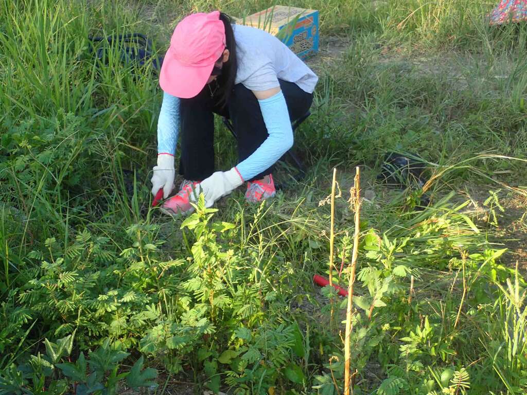 「荒野少年」隊在玉里穿上農夫裝鋤草，體驗「快手農夫」的辛勞。（圖／台北市青少年發展處提供）