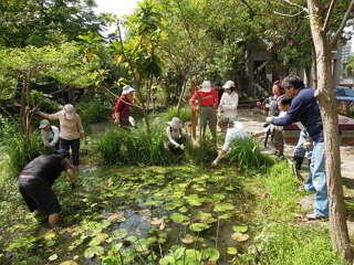 Visiting Waishuangxi Park for Eco-Themed Wetland Tour