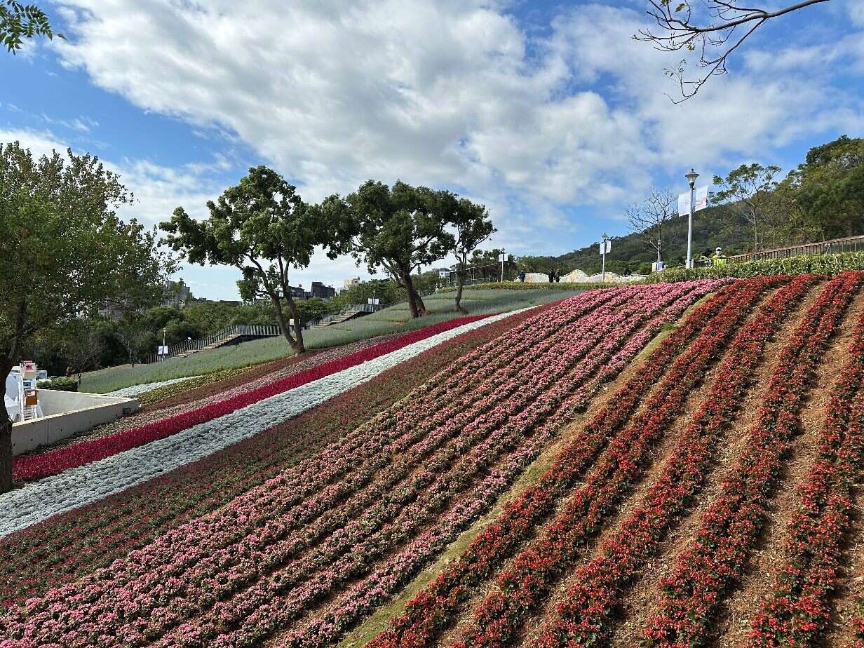 活动持续进行至3月31日的「三层崎花海」(图片来源：台北市政府工务局公园路灯工程管理处)