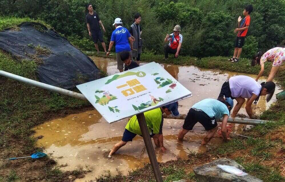 插秧闯关活动(图片来源：台北市政府工务局大地工程处)