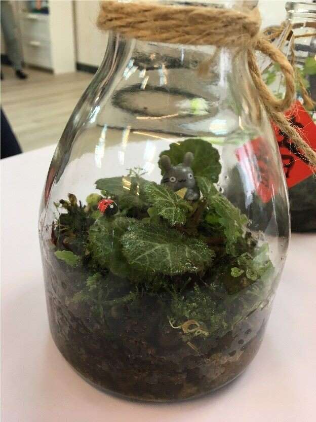 植物景色生态瓶(图片来源：台北市政府工务局公园路灯工程管理处)