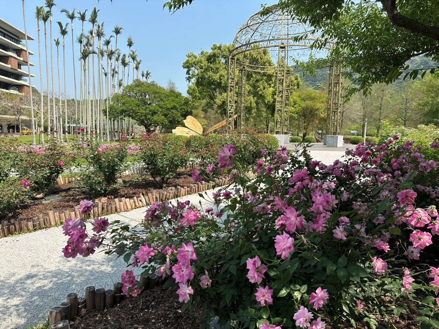 玫瑰及石竹、銀葉菊映襯穹頂花海之美(圖片來源：臺北市政府工務局公園路燈工程管理處)