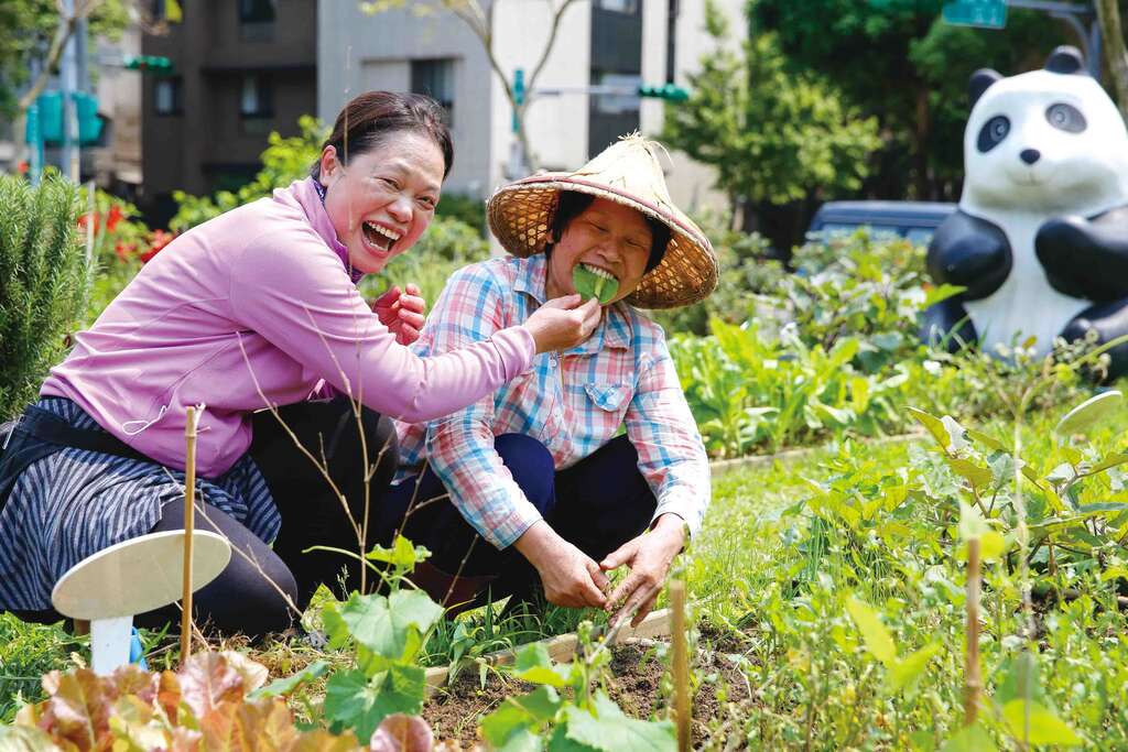 TAIPEI 2016夏季号 Vol.04—街に息づく緑の光 都市全体がわたしの菜園