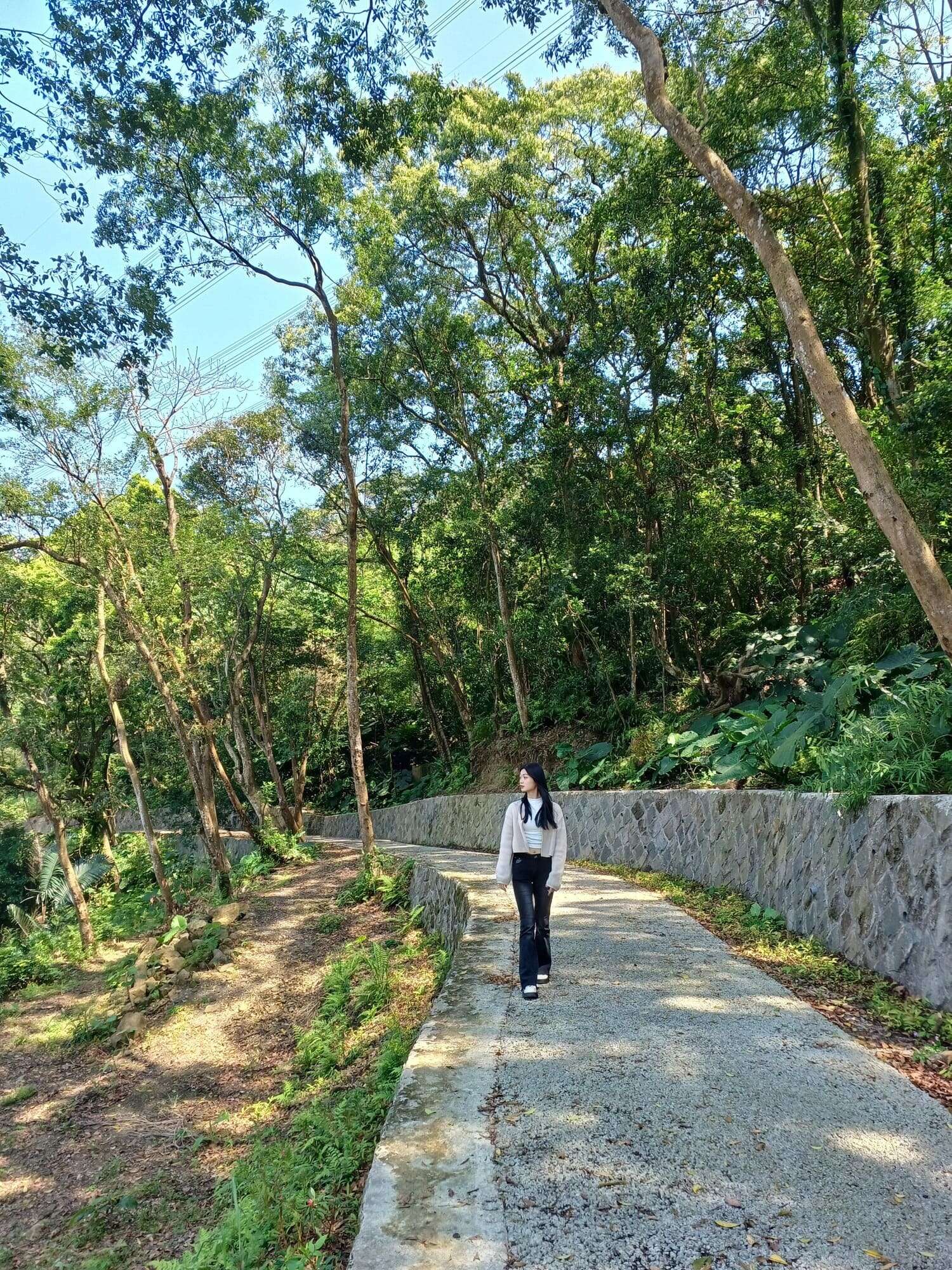 貓空水土保持園區步道，提供喜愛健行的朋友更多選擇(圖片來源：臺北市政府工務局大地工程處)