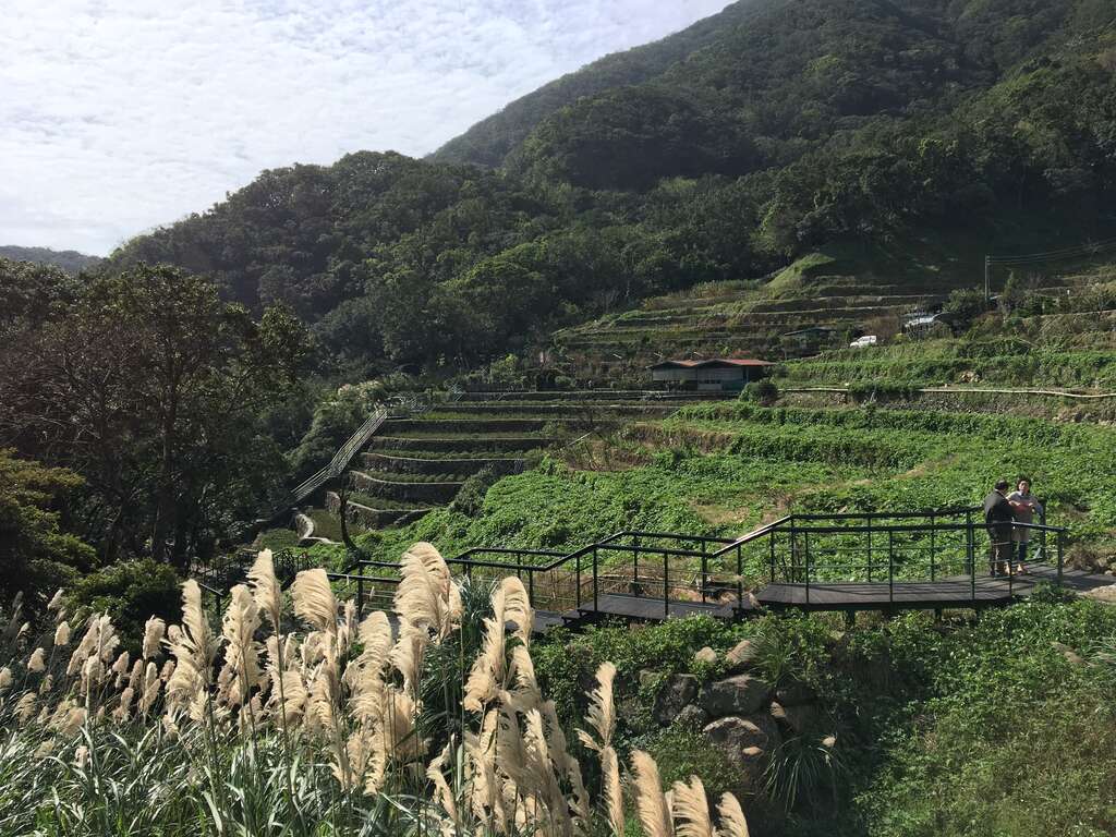 附圖1、青楓步道前景