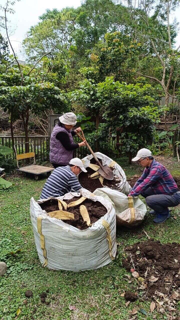 林雍善队长带队，将花卉中心提供腐植土一批批搬运到生态池。(图片来源：台北市政府工务局公园路灯工程管理处)