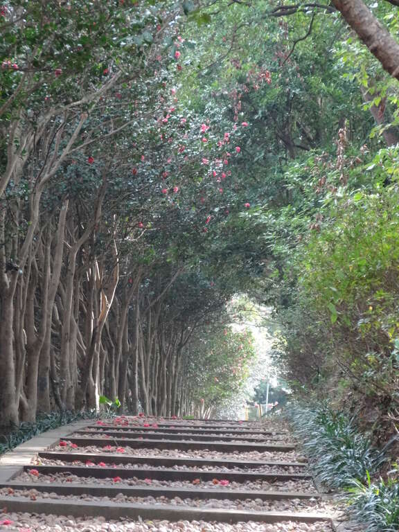 图8.花卉试验中心