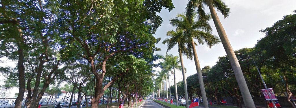 爱国西路-林荫大道