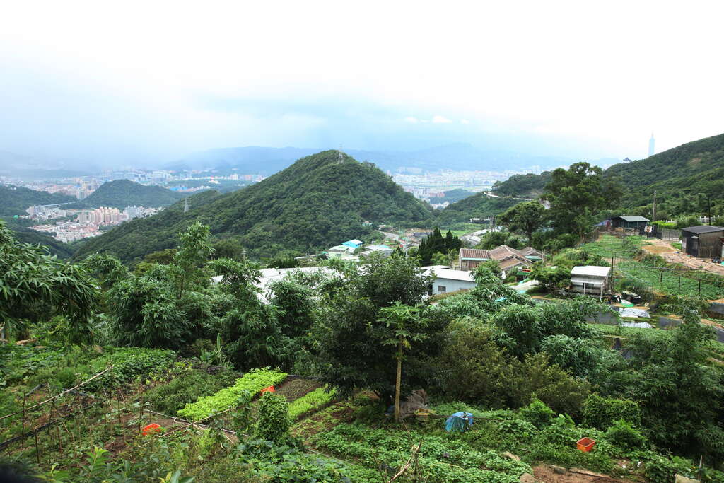 台北市白石湖同心池换新妆  阖家出游好去处