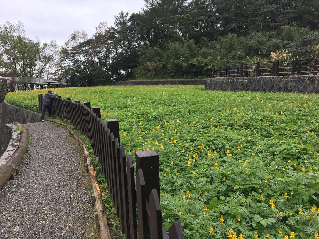 建议拍摄点位之一，因应上、下午不同日照方向，要记得调整位置。