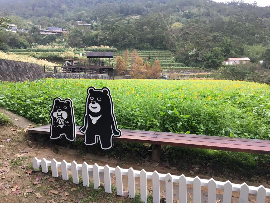 野餐黑熊建议拍摄点位之一