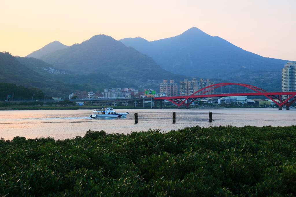 北市河濱花海齊放  春節出遊首選
