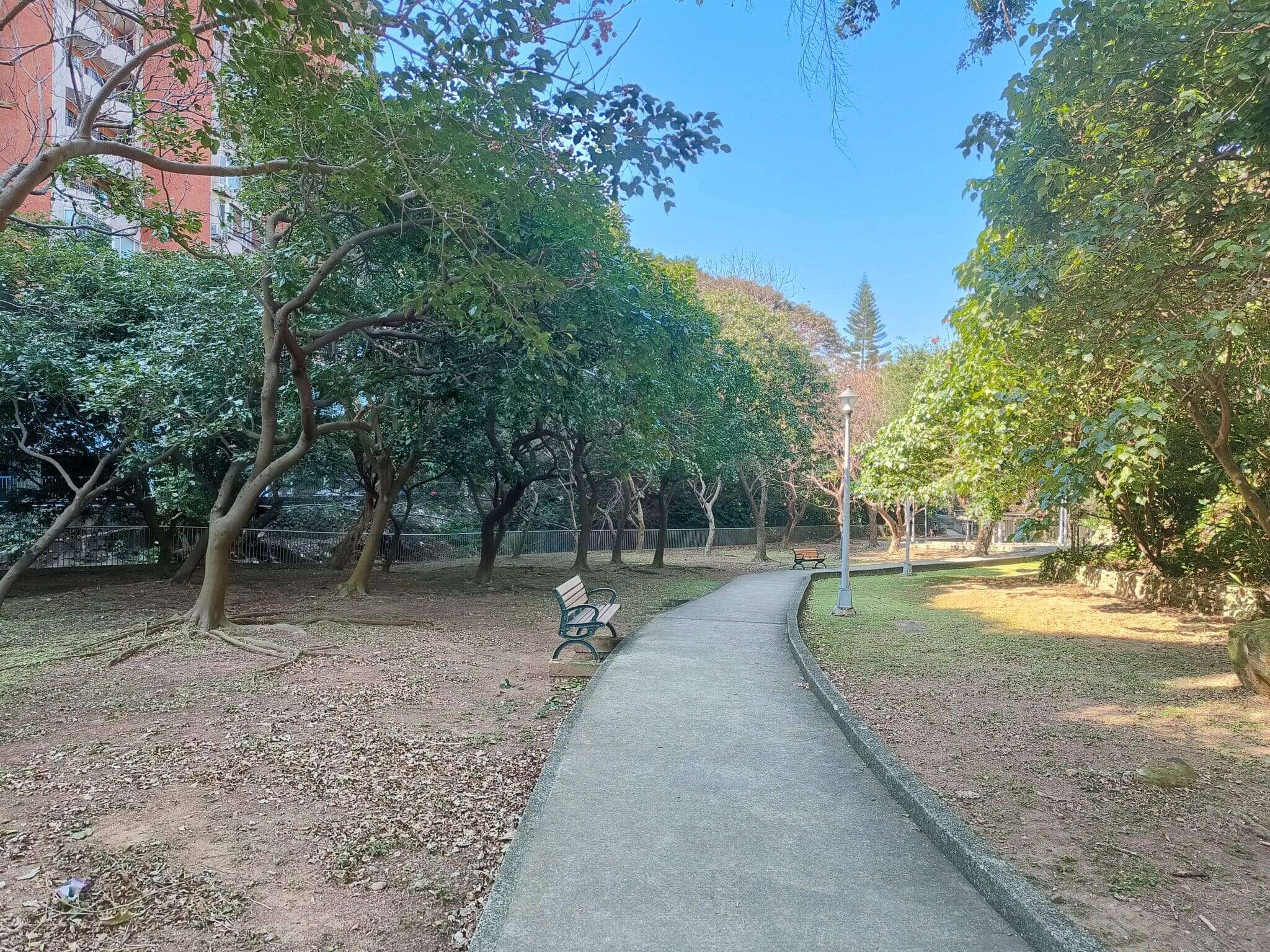 導覽後在泉源公園舉辦步道音樂會、換領紀念品(圖片來源：臺北市政府工務局大地工程處)