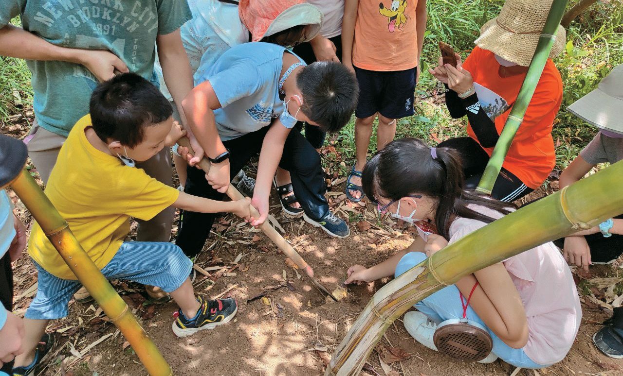 P24-27 食旅-4 @北投區農會–「二崎生態休閒農場」舉辦採綠竹筍活動，讓孩子體驗食農樂趣。（圖／北投區農會）