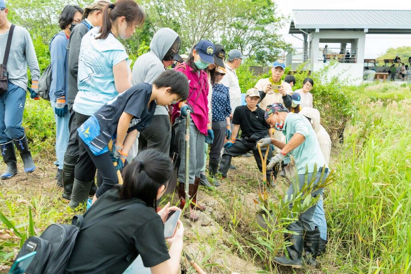 陈德鸿老师仔细讲解卤蕨分株的方法(图片来源：台北市政府工务局水利工程处)