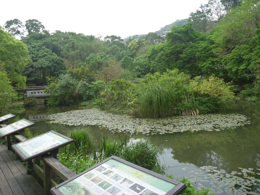 圖1.生態池遠景